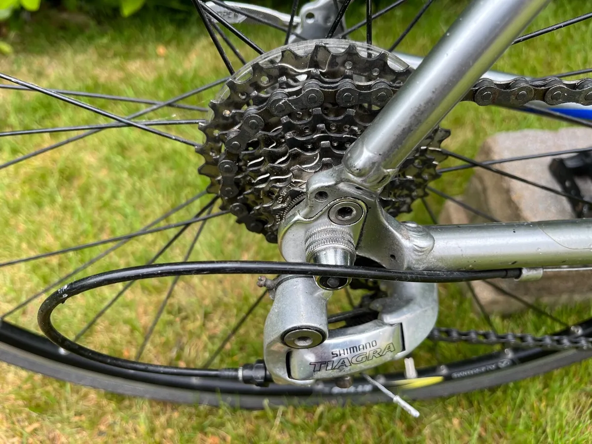 Adult Bike - Image 2