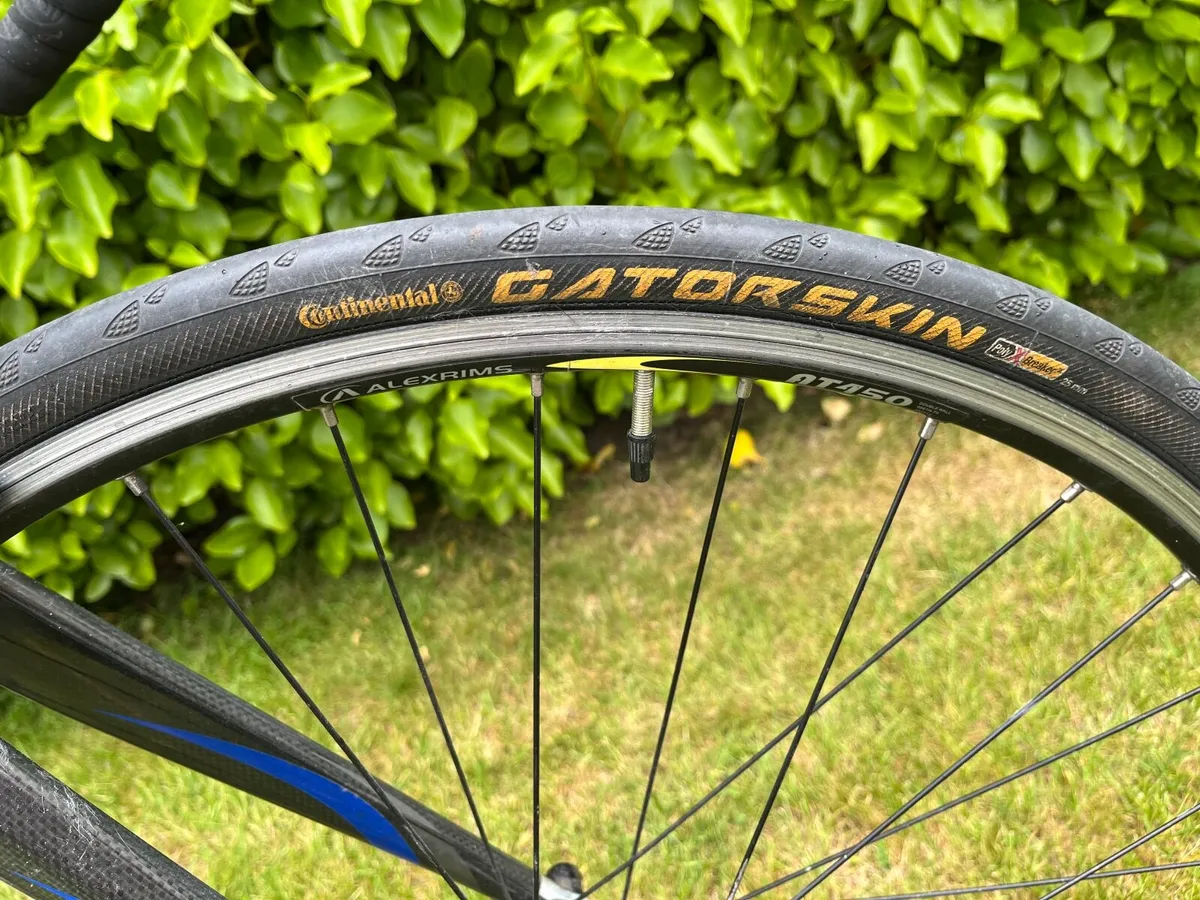 Adult Bike - Image 3
