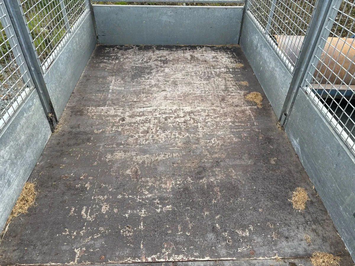 10ft Ifor Williams Tipper for sale - Image 2