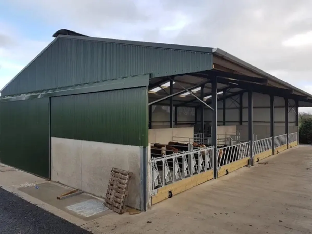 Winter Shed Wanted