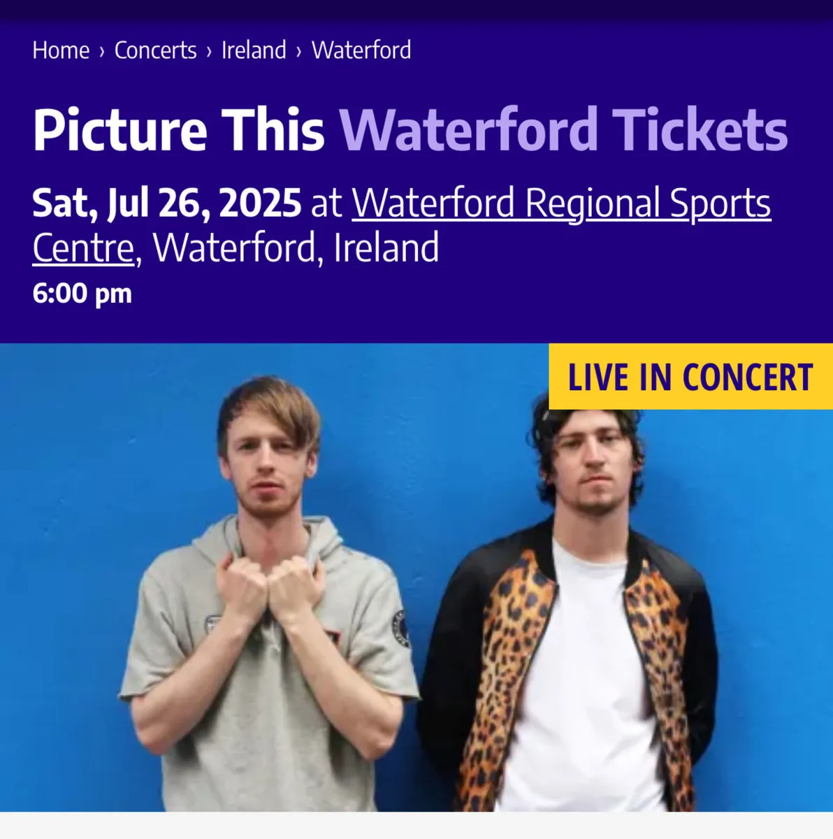 Concert Ticket ‘Picture This’
