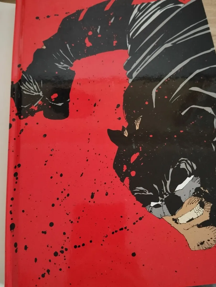 Batman The Dark Knight Saga Deluxe Edit 500 pags - Image 3