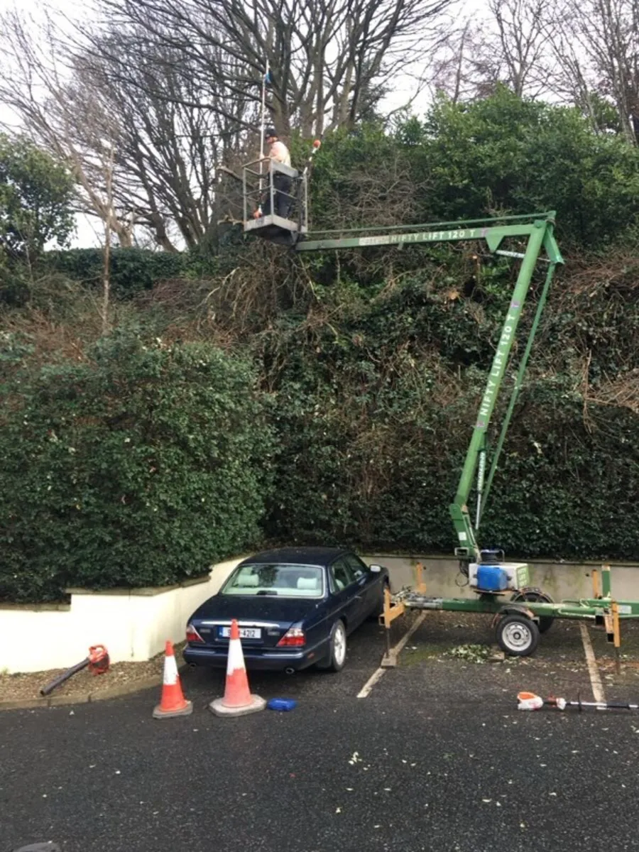 Cherry picker nifty lift 120T - Image 2
