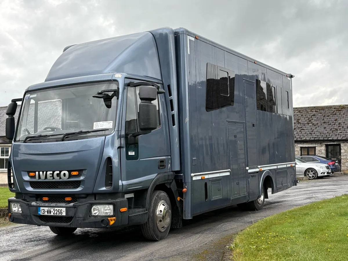 2013 Iveco horse truck - Image 1