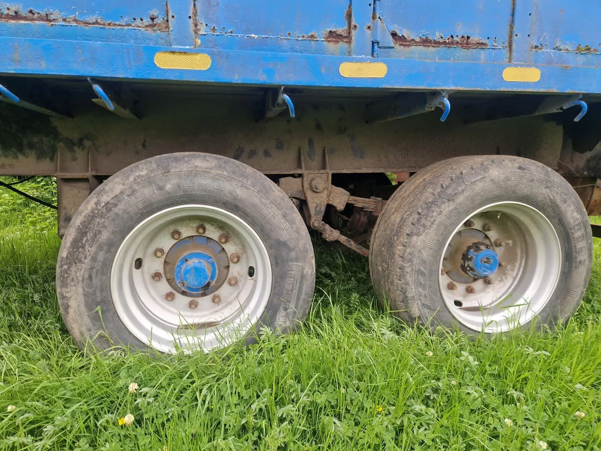 Cattle trailer forsale - Image 3