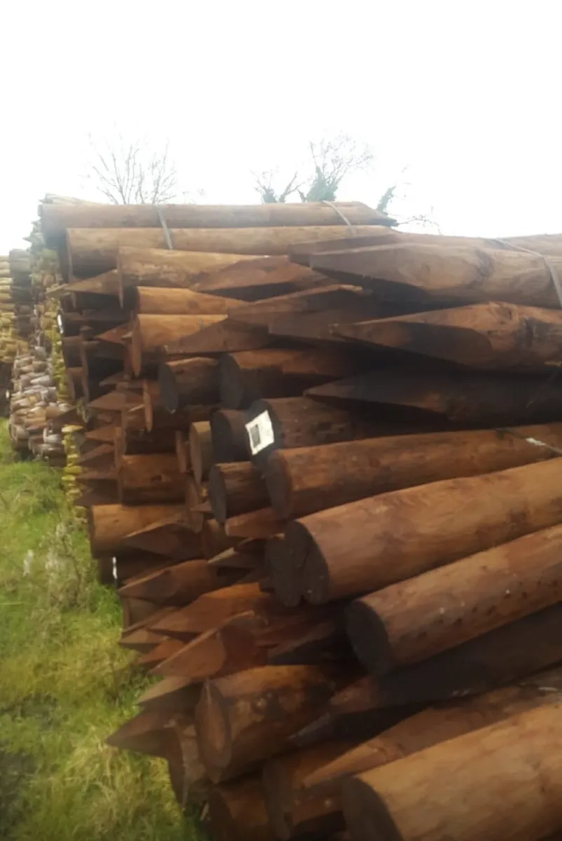 Fencing posts - Image 3