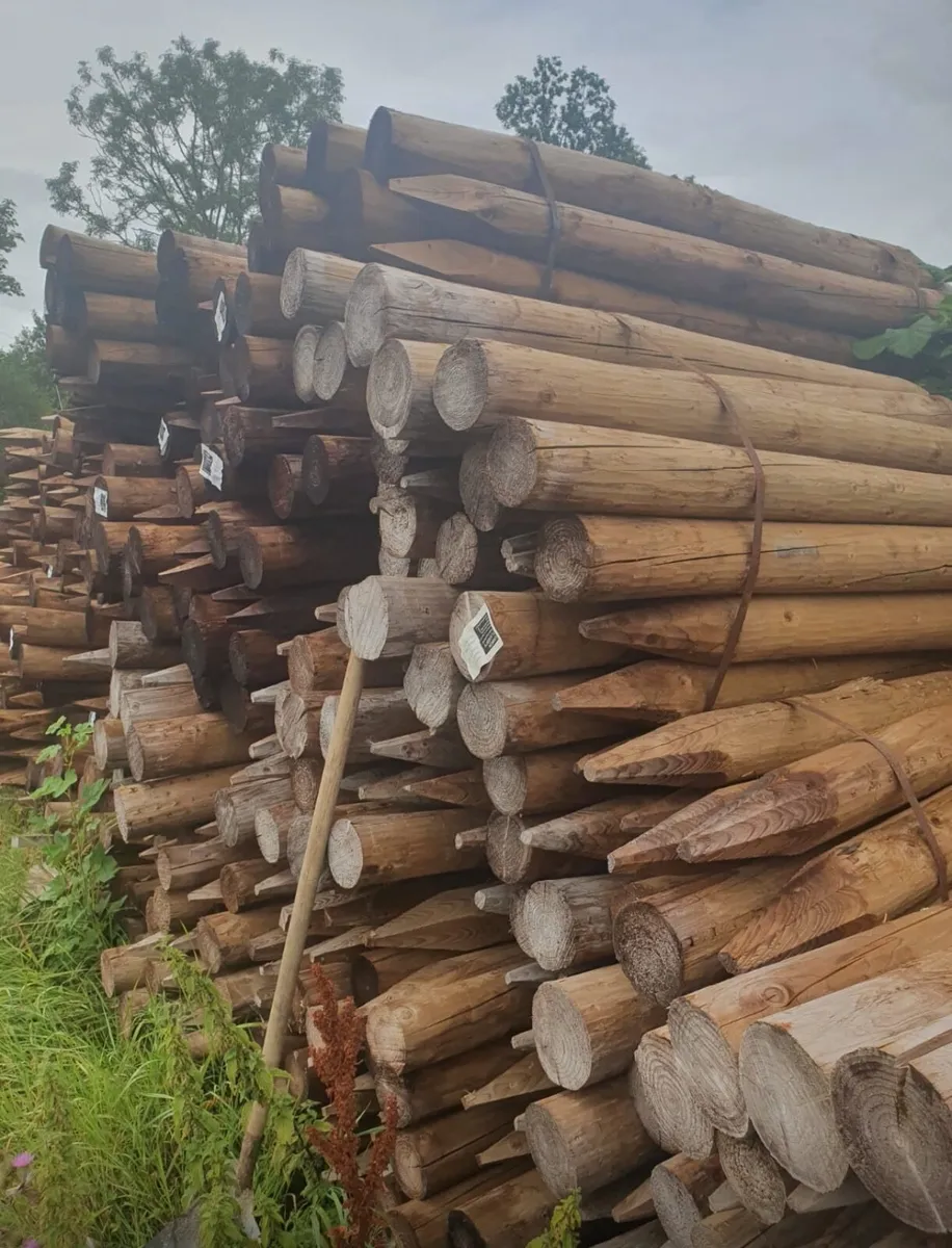 Fencing posts - Image 4