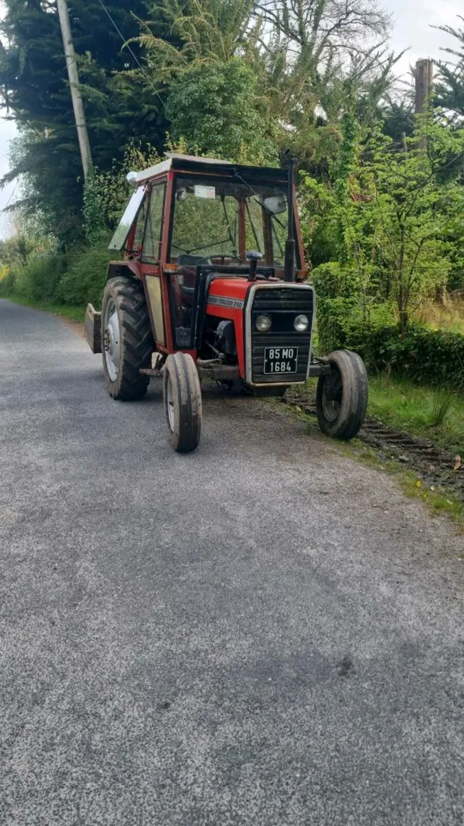 Massey 250 - Image 4