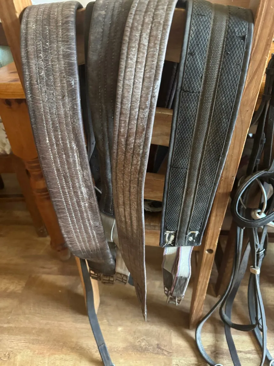 Tack and rugs - Image 2