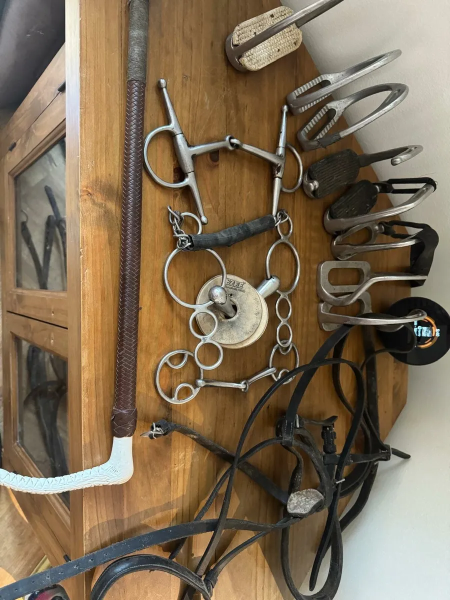 Tack and rugs - Image 4