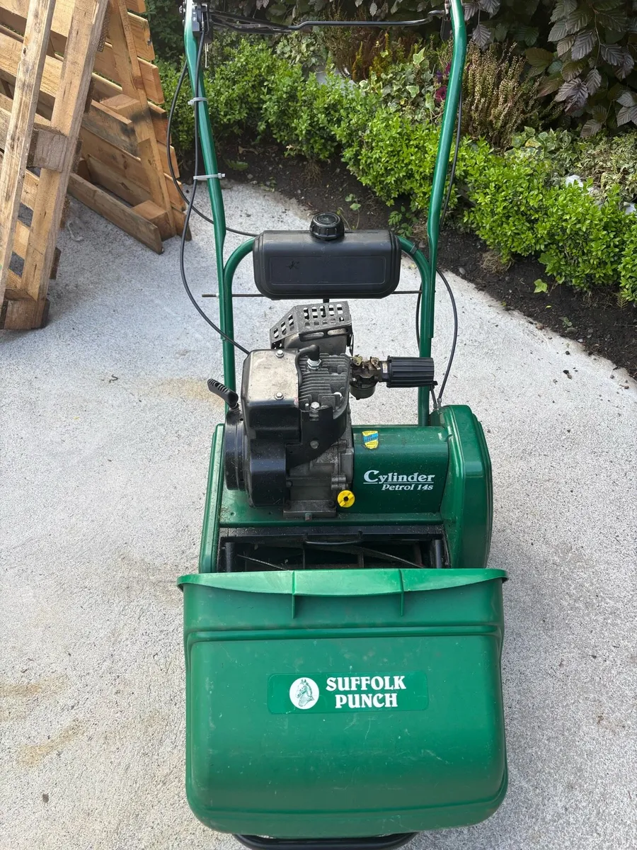 Suffolk punch cylinder mower - Image 1