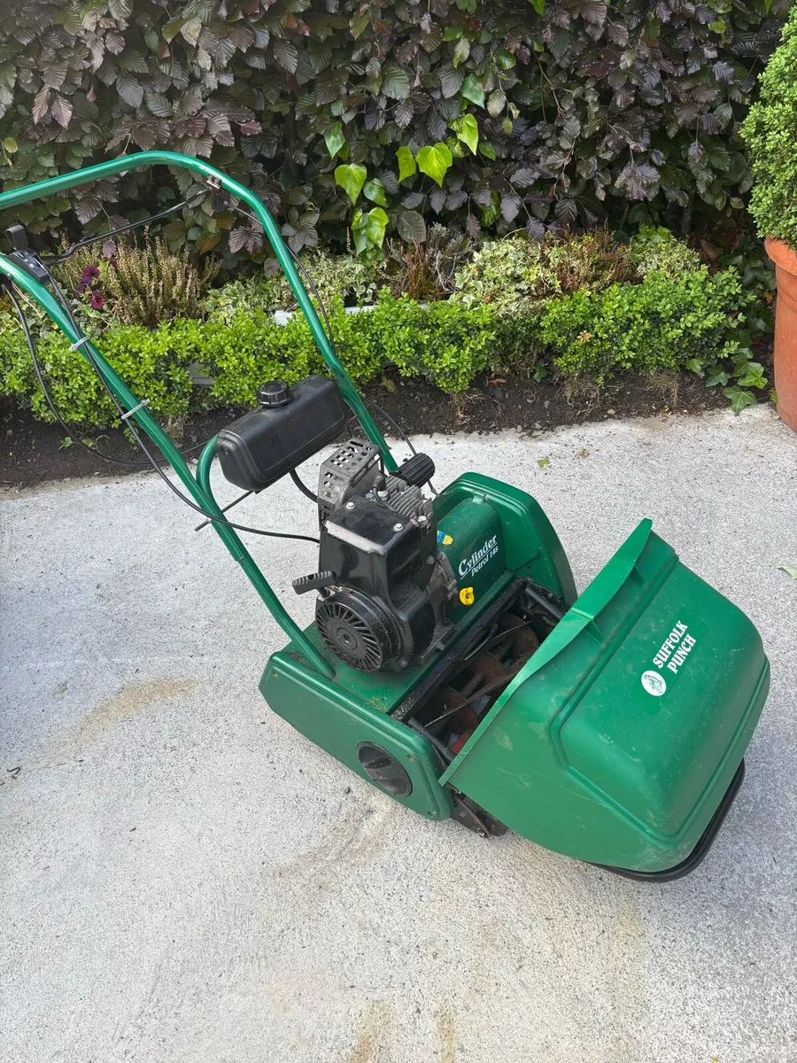 Suffolk punch cylinder mower - Image 2