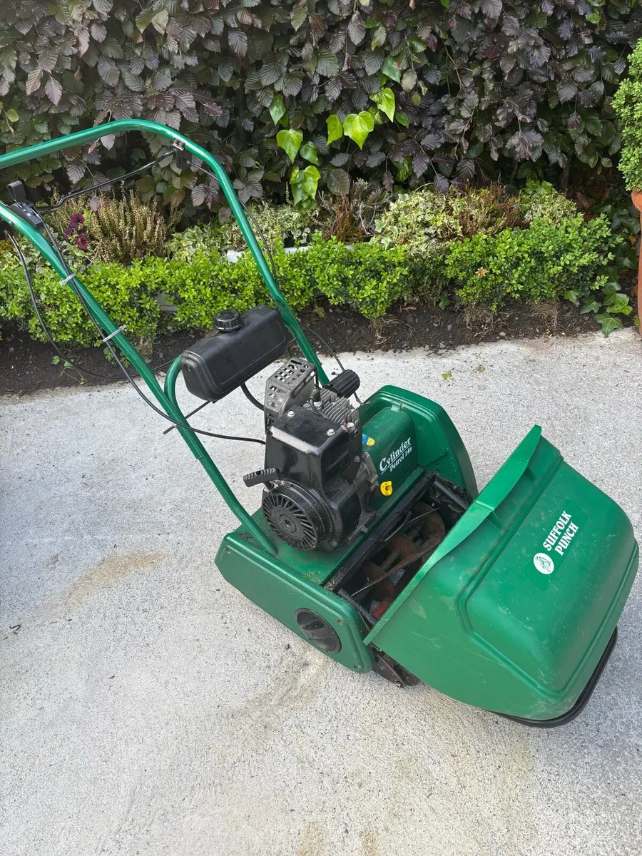 Suffolk punch cylinder mower - Image 4
