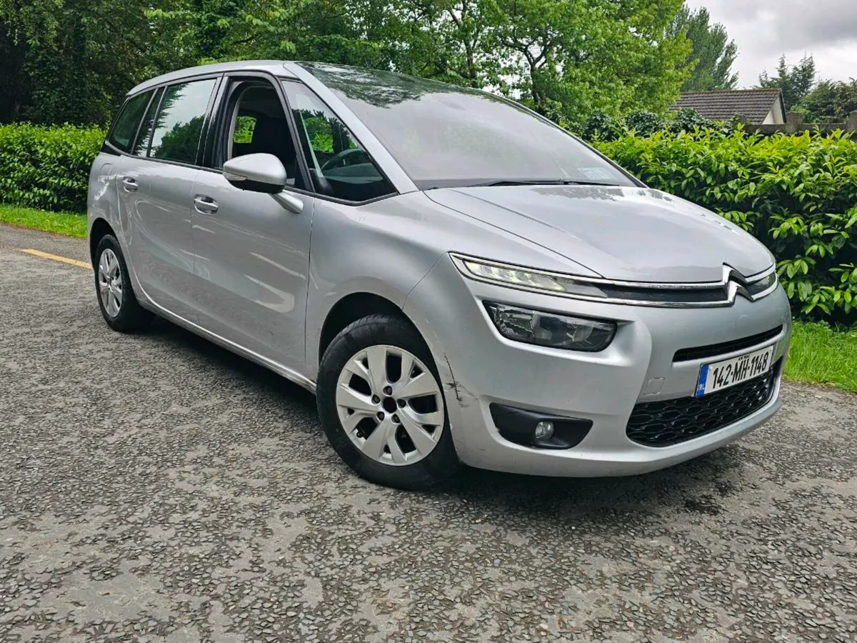 2014 Picasso - Image 1