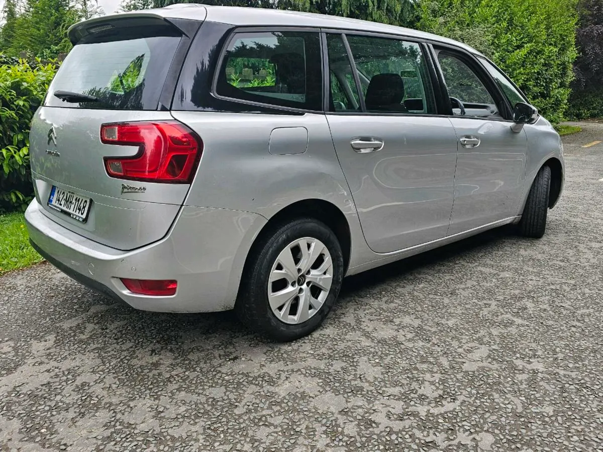 2014 Picasso - Image 2