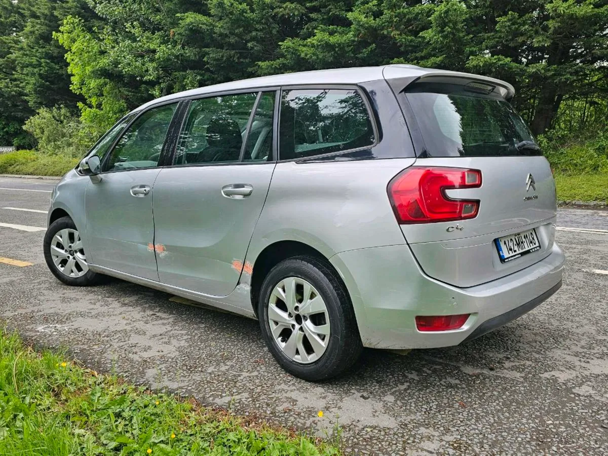 2014 Picasso - Image 3