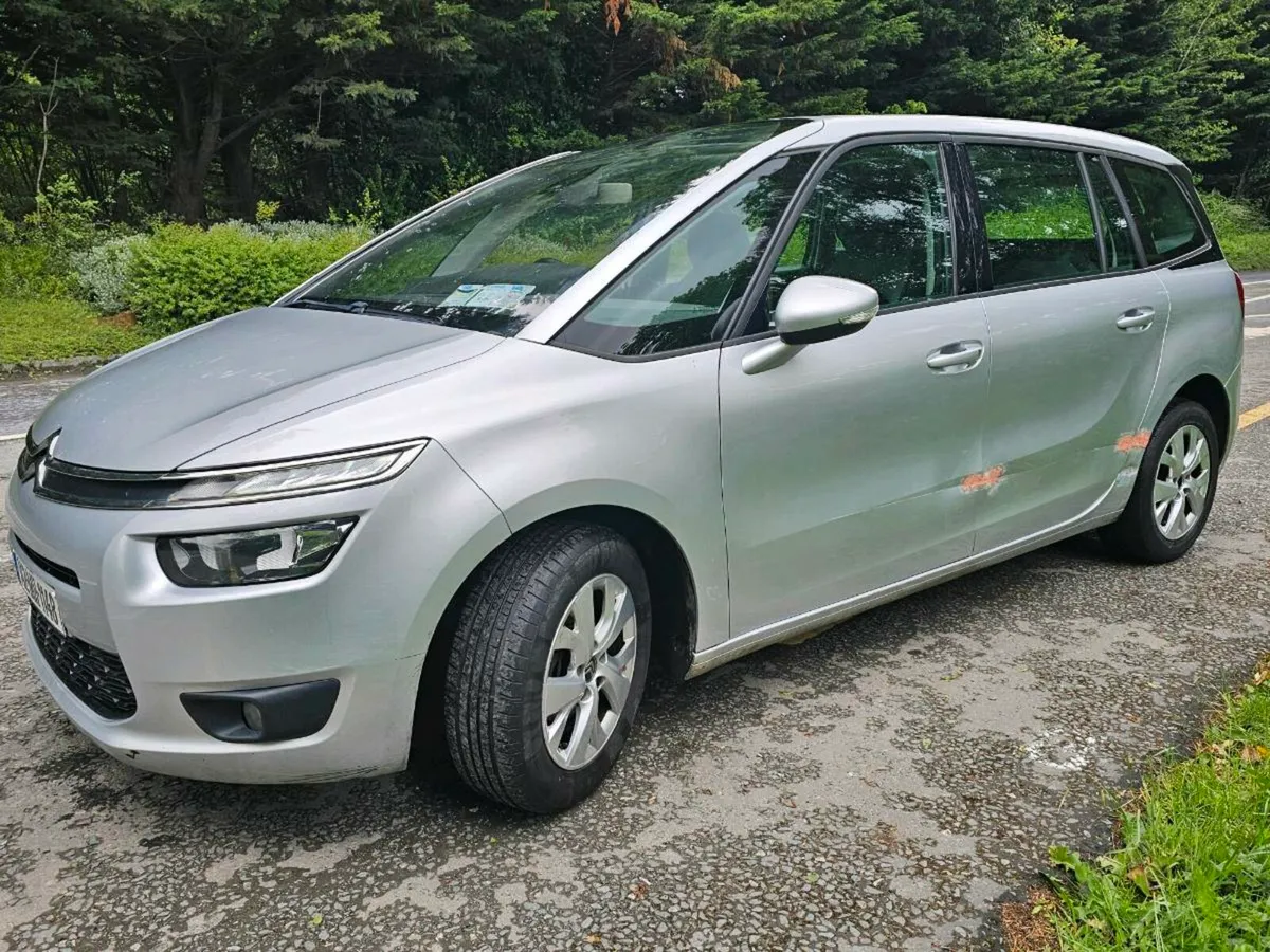 2014 Picasso - Image 4