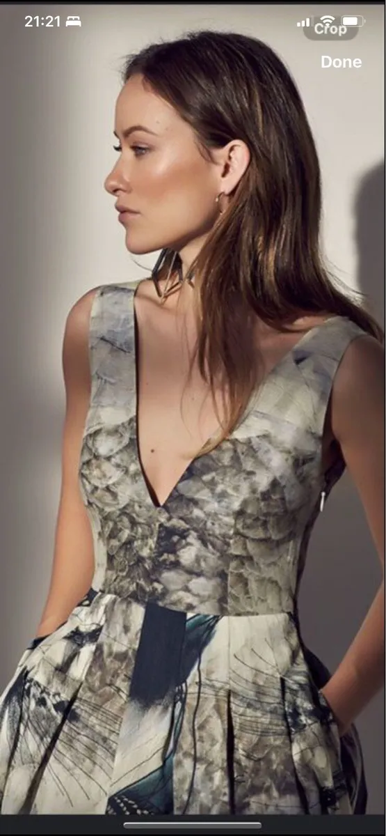 Special occasion gown - Image 1
