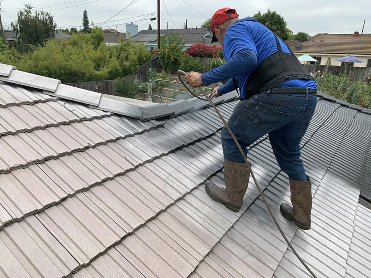 Roof paint - Image 1