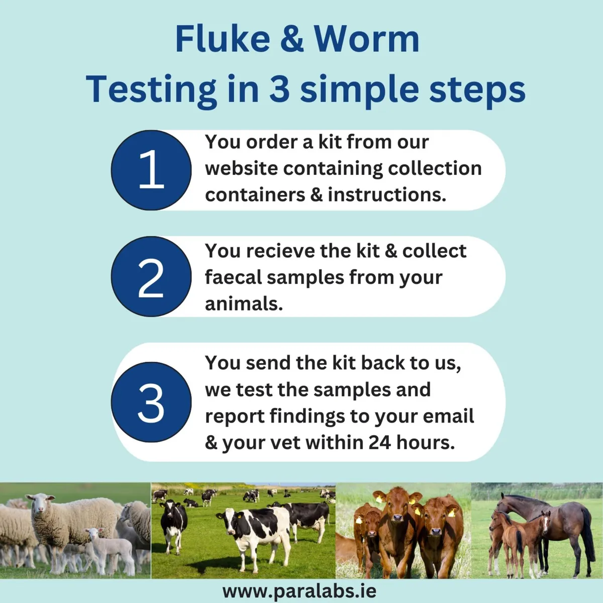 Fluke & Worm Parasite Testing - Image 2