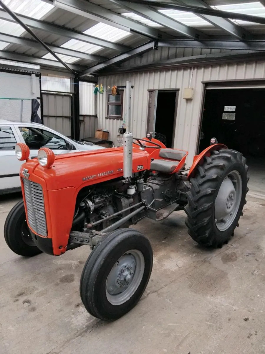 Vintage tractors. Mf35 3cyl..grey ferguson diesel - Image 1