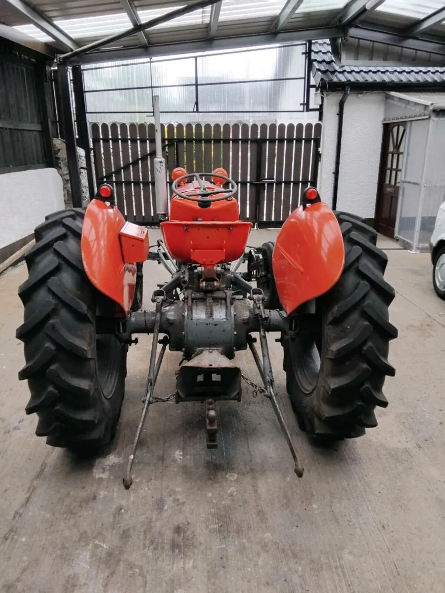 Vintage tractors. Mf35 3cyl..grey ferguson diesel - Image 2