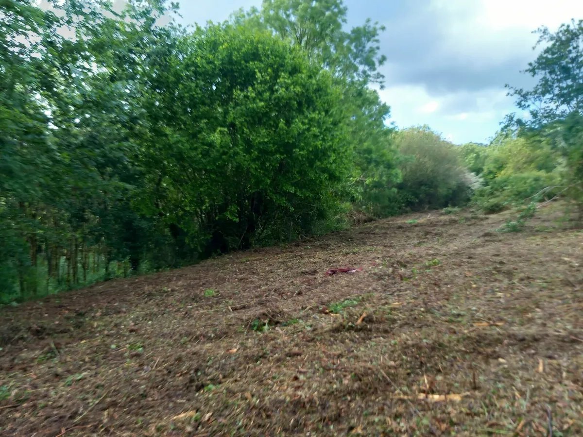 Hedge Cutting & Mulching Cork - Image 3