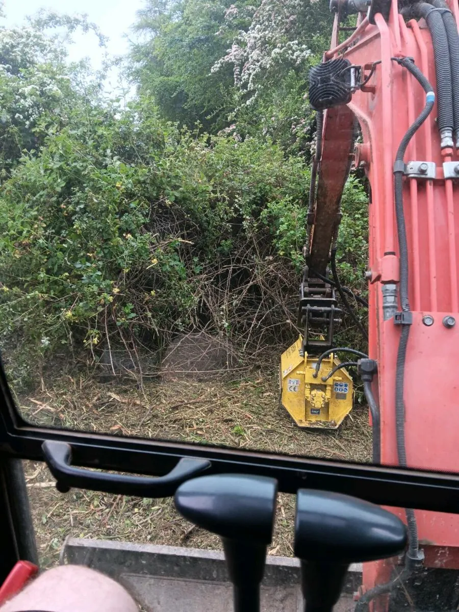 Hedge Cutting & Mulching Cork - Image 4