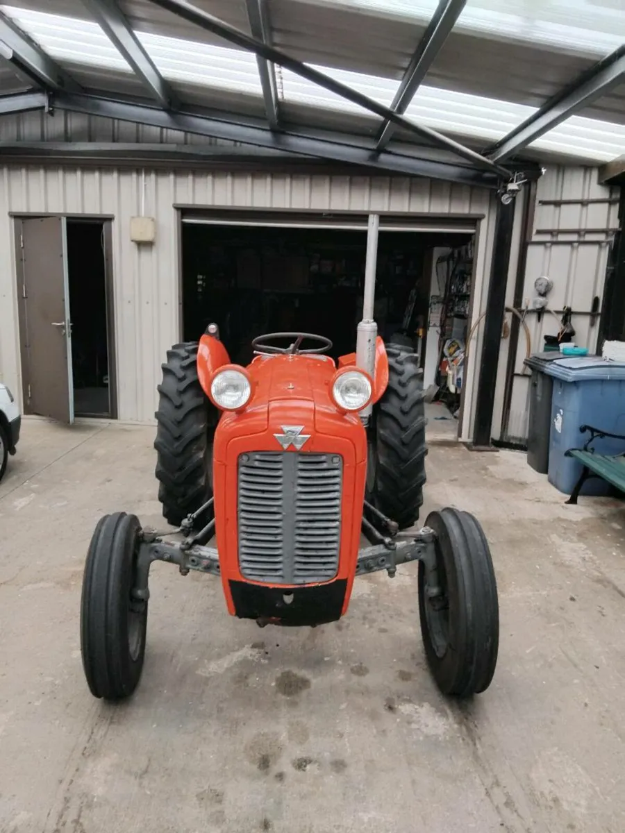 Vintage tractors. Mf35 3cyl..grey ferguson diesel - Image 3
