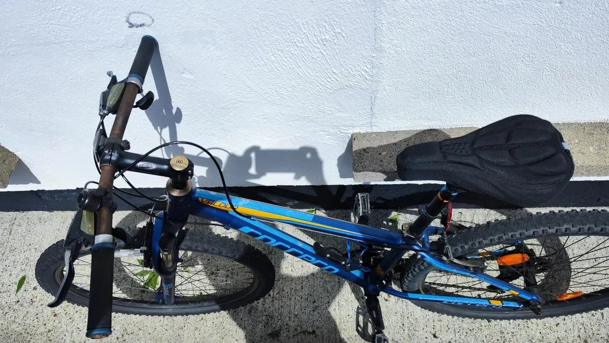 Bike - Image 1