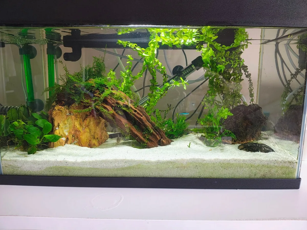 Fish tank - Image 1
