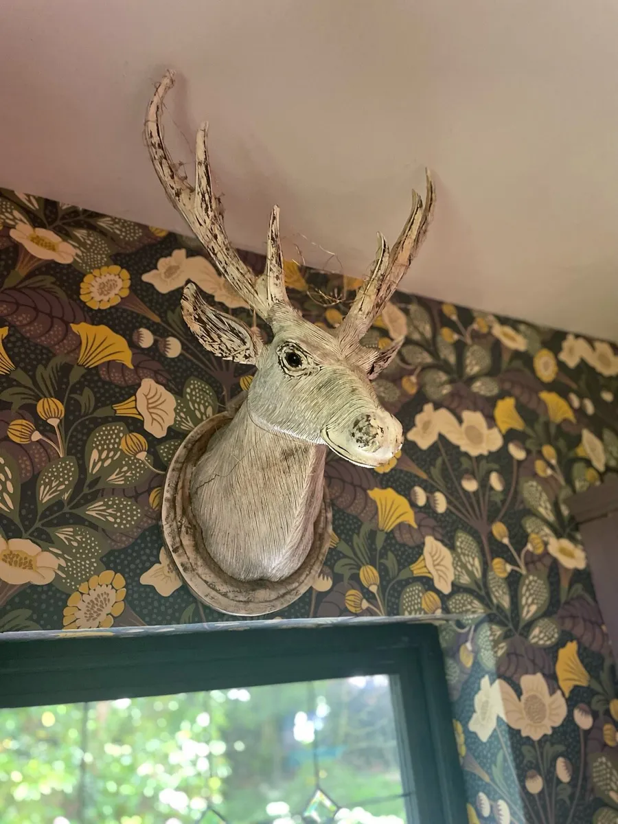 Large Wooden Stags Head - Image 1