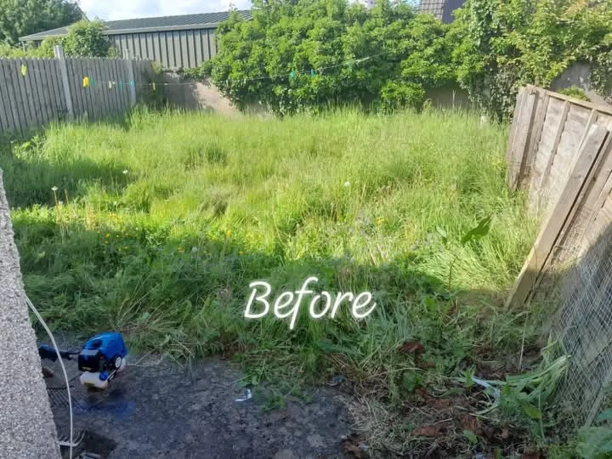 M.R garden service - Image 2