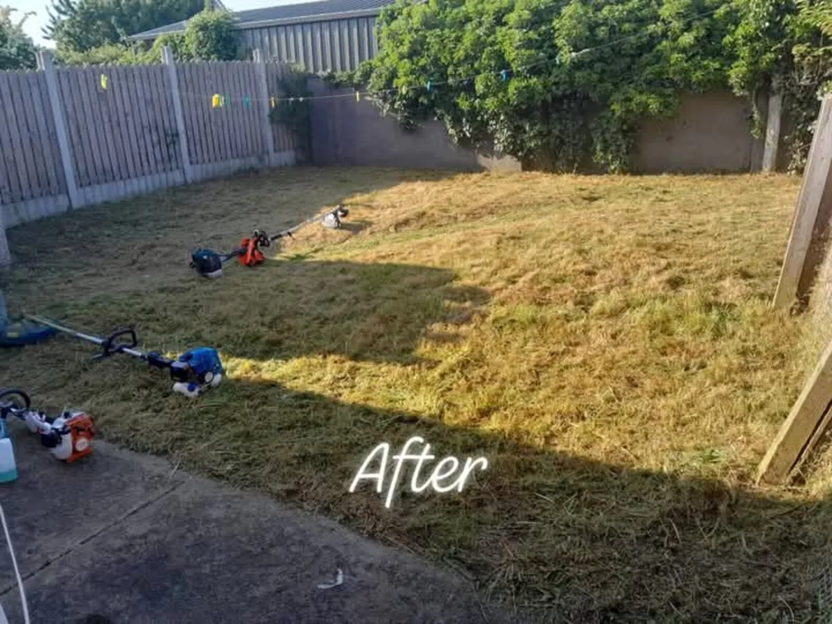 M.R garden service - Image 3
