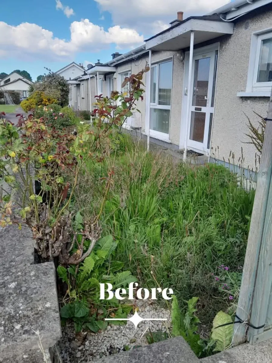 M.R garden service - Image 4