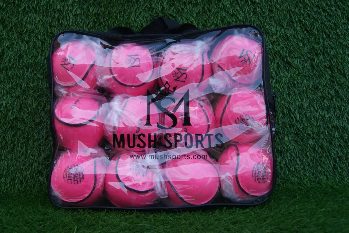 All Weather and Wall balls Sliotars - Image 4