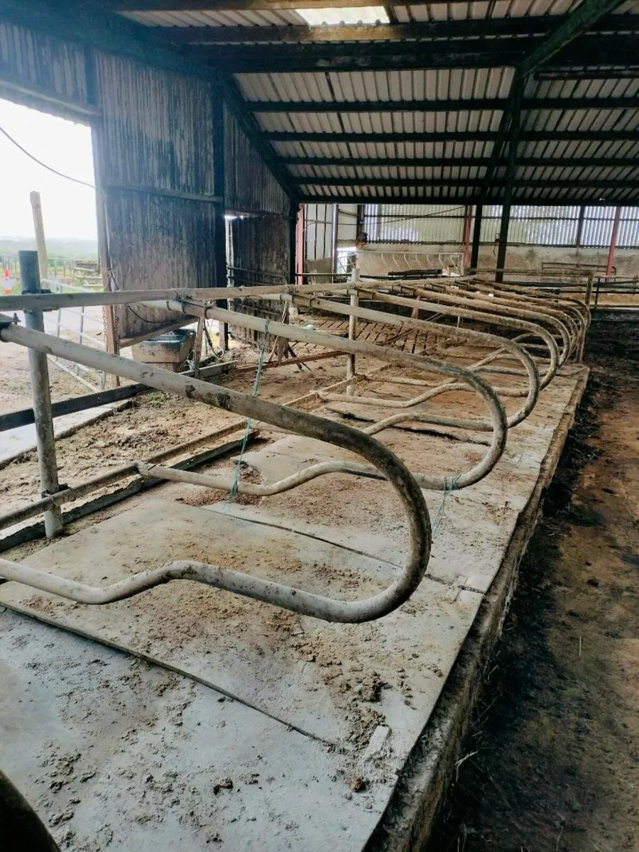 Cubicles and scrappers - Image 1