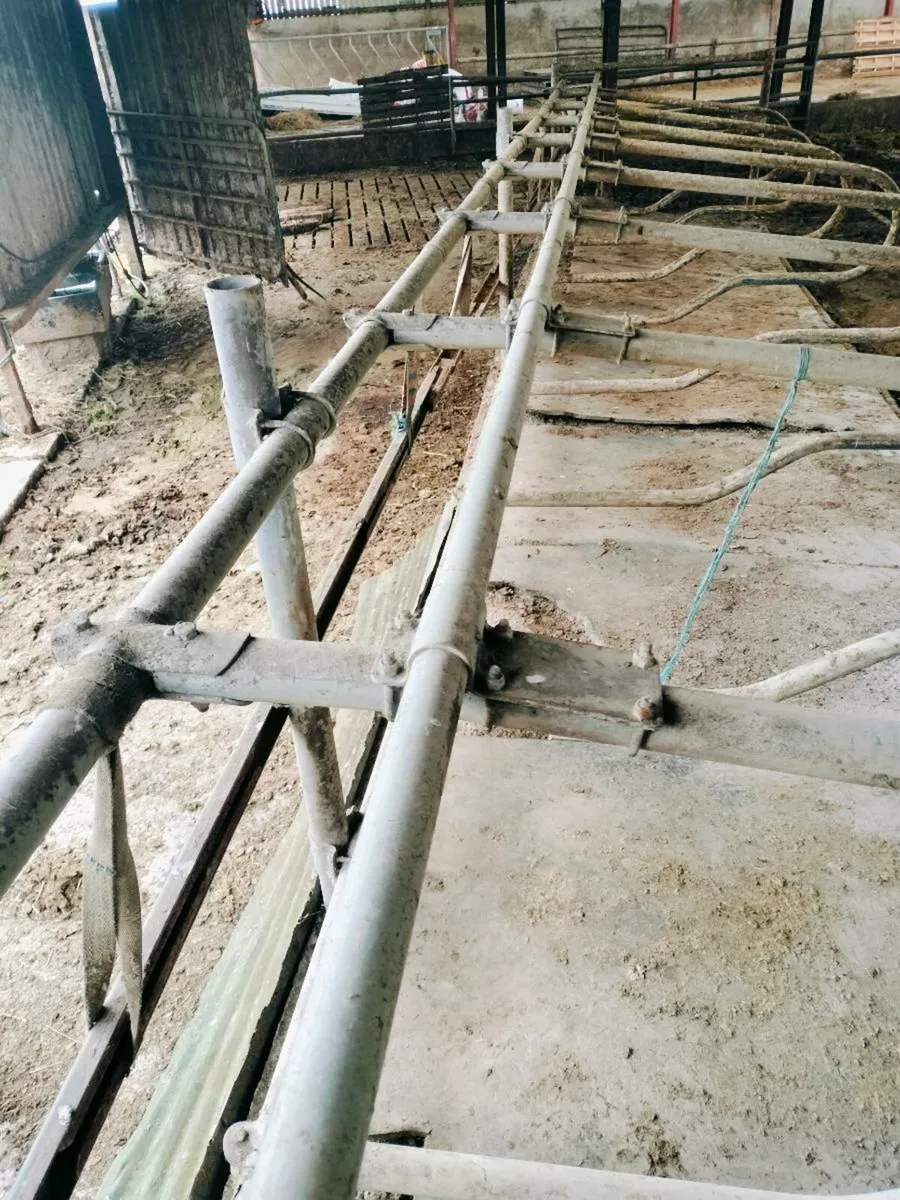 Cubicles and scrappers - Image 2