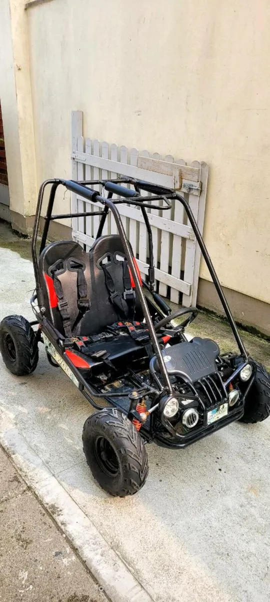 Quadzilla wolf junior 160cc 2 seater buggy - Image 1