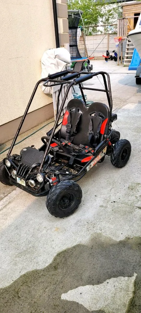 Quadzilla wolf junior 160cc 2 seater buggy - Image 2