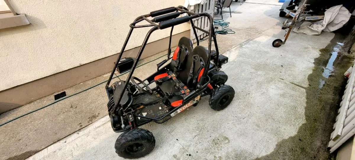 Quadzilla wolf junior 160cc 2 seater buggy - Image 4
