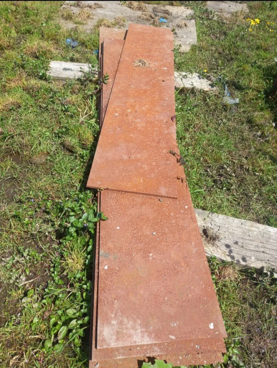 Raw steel,girdles great value - Image 4