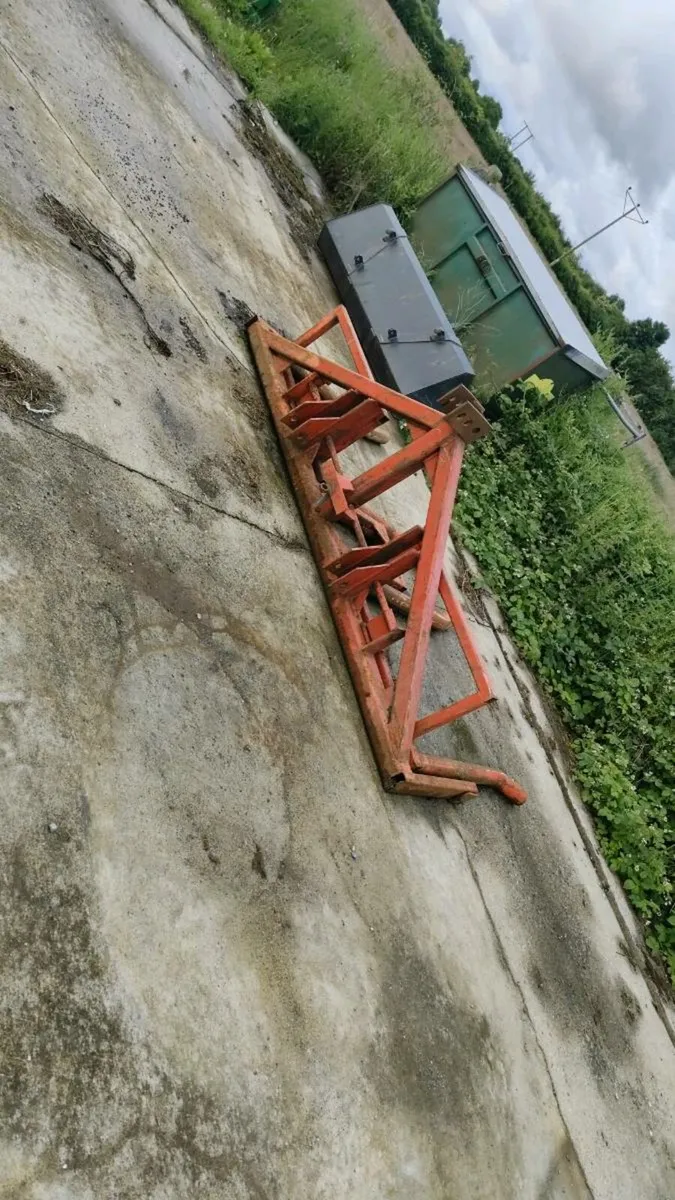 Double bale lifter - Image 1