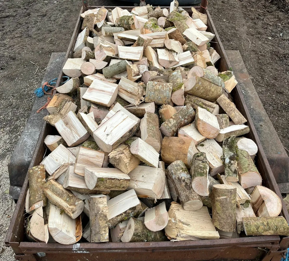 Ash firewood