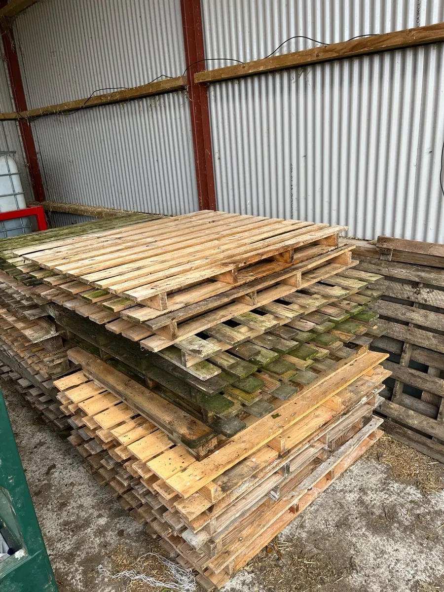 Pallets - Image 2