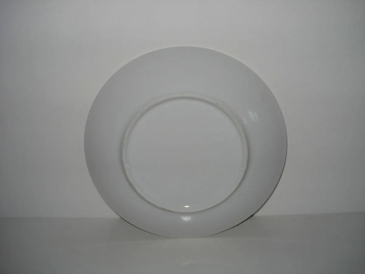 2000 NEW MILLENNIUM  8 INCH PLATE. - Image 2