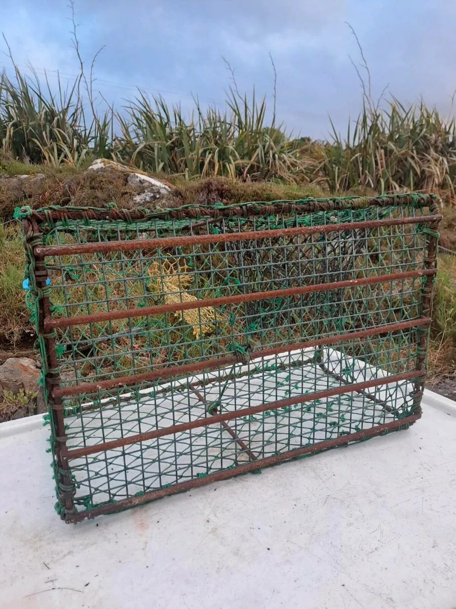 34 Crayfish Pots - Image 4