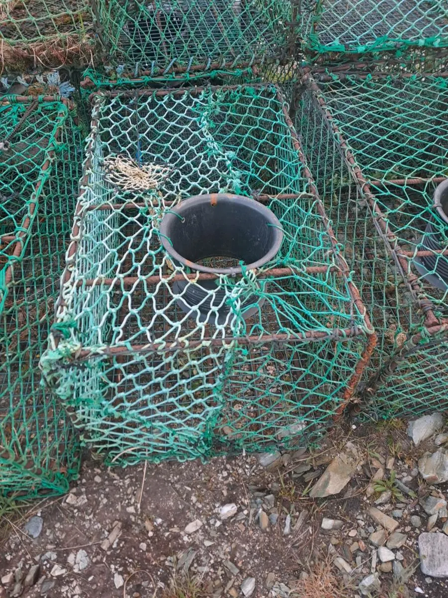 34 Crayfish Pots - Image 1