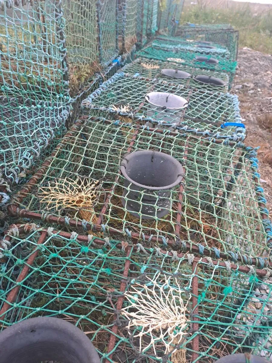 34 Crayfish Pots - Image 3