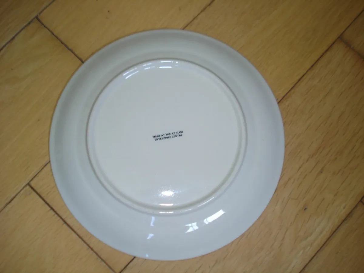 1988 ORIGINAL  DUBLIN MILLENNIUM PLATE. - Image 3